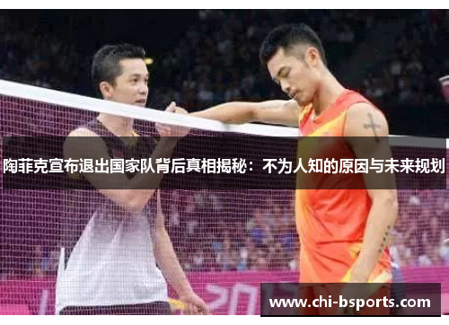 陶菲克宣布退出国家队背后真相揭秘：不为人知的原因与未来规划