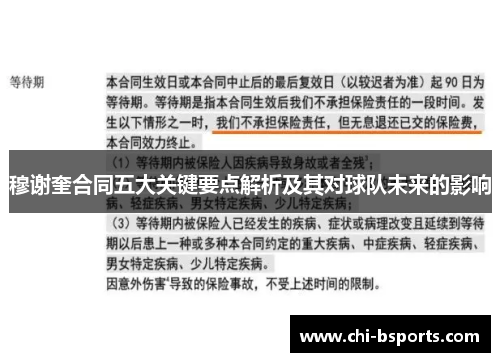 穆谢奎合同五大关键要点解析及其对球队未来的影响