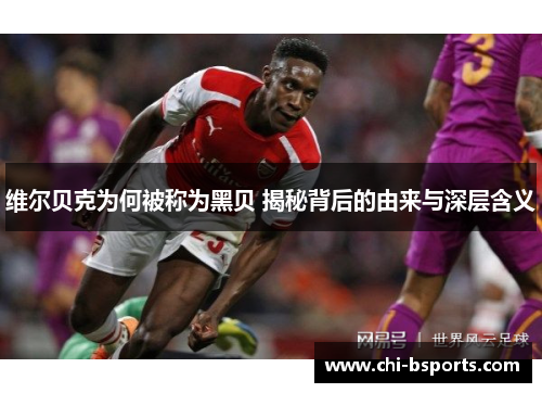 维尔贝克为何被称为黑贝 揭秘背后的由来与深层含义