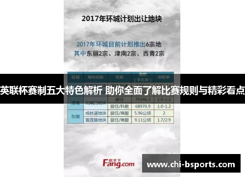 英联杯赛制五大特色解析 助你全面了解比赛规则与精彩看点