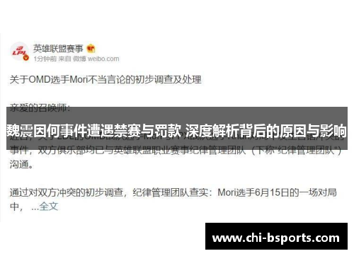 魏震因何事件遭遇禁赛与罚款 深度解析背后的原因与影响 魏震因何事件遭遇禁赛与罚款 深度解析背后的原因与影响