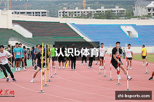 认识b体育